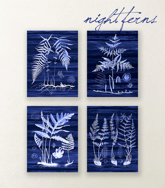 Night Ferns